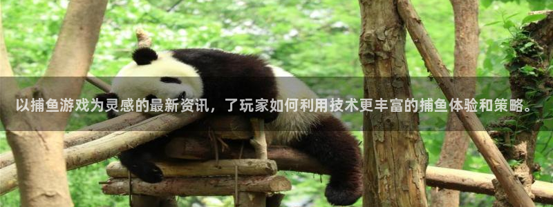 赢咖娱乐集团：以捕鱼游戏为灵感的最新资讯，了玩家如何利用技术