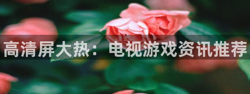 赢咖娱乐登录地址：高清屏大热：电视游戏资讯推荐