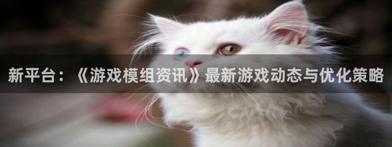 赢咖娱乐网址官网：新平台：《游戏模组资讯》最新游戏动态与优化