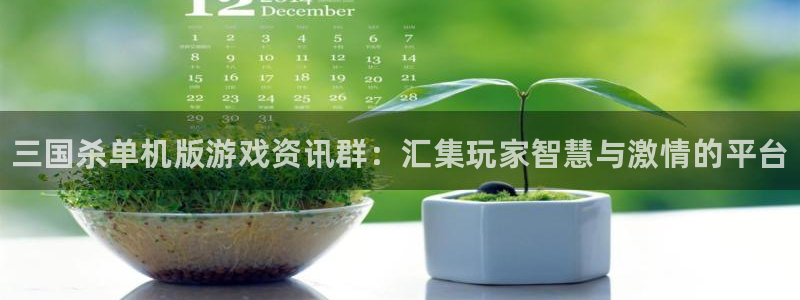 赢咖娱乐注册：三国杀单机版游戏资讯群：汇集玩家智慧与激情的平