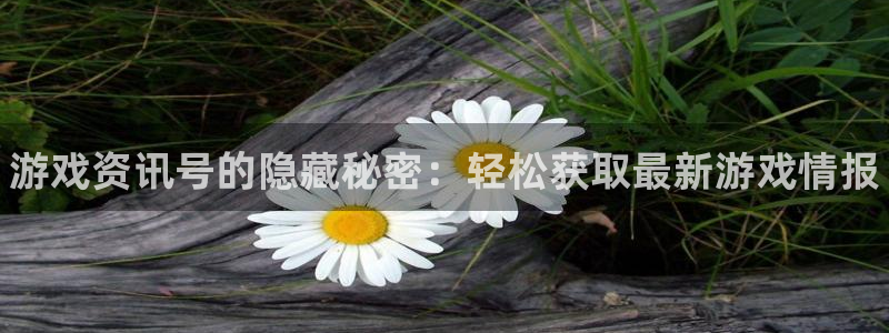 赢咖娱乐登陆地址：游戏资讯号的隐藏秘密：轻松获取最新游戏情报