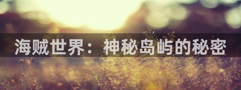 赢咖娱乐直属：海贼世界：神秘岛屿的秘密
