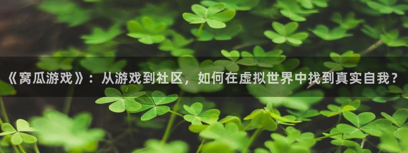 赢咖娱乐网址官网：《窝瓜游戏》：从游戏到社区，如何在虚拟世界