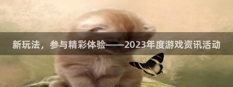 赢咖娱乐测速登陆：新玩法，参与精彩体验——2023年度游戏资